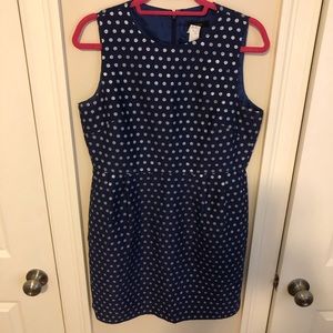 JCrew Polka Dot Shift Dress size 12